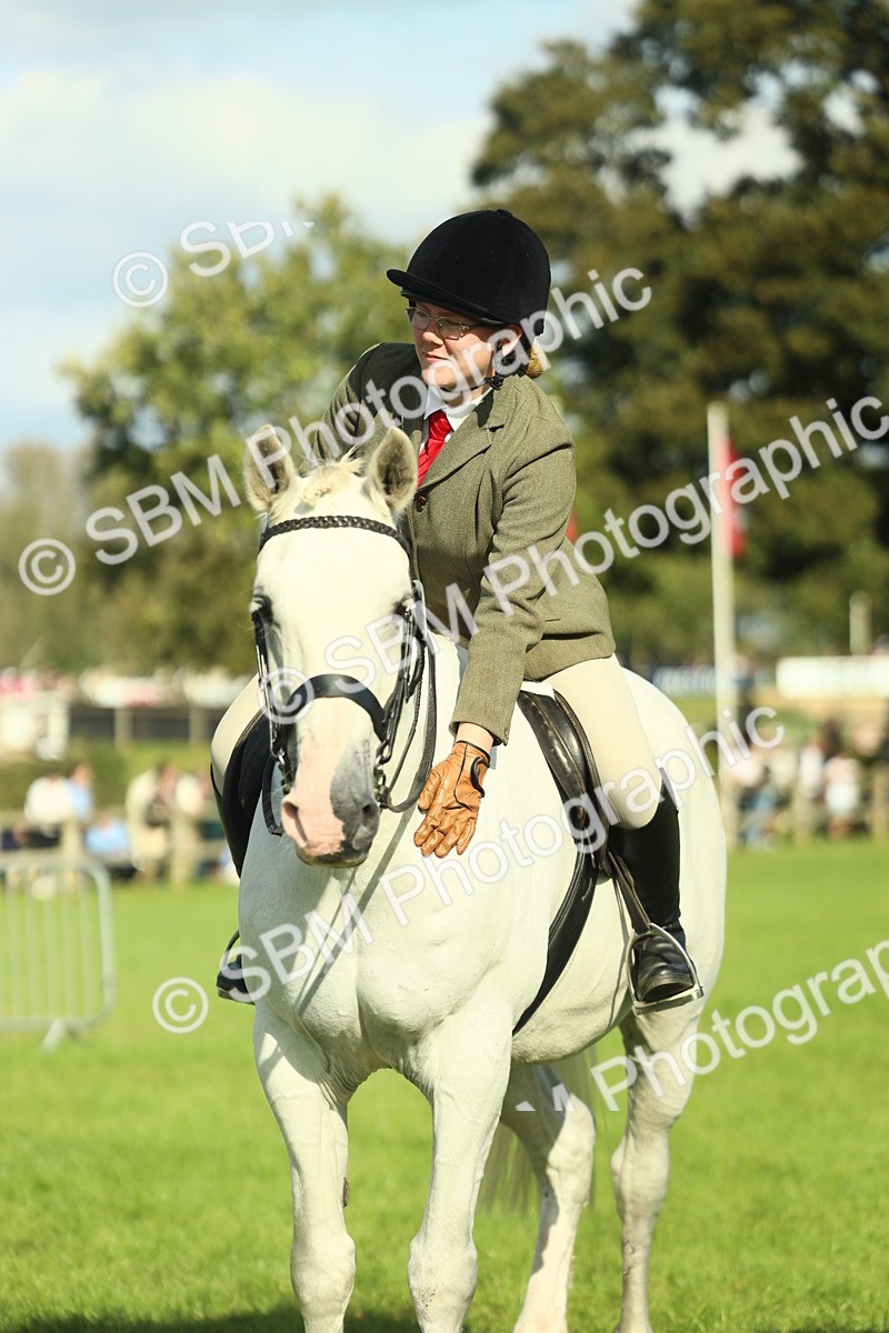 SBM_49911 - S32 - Novice & Newcomers Working Hunter