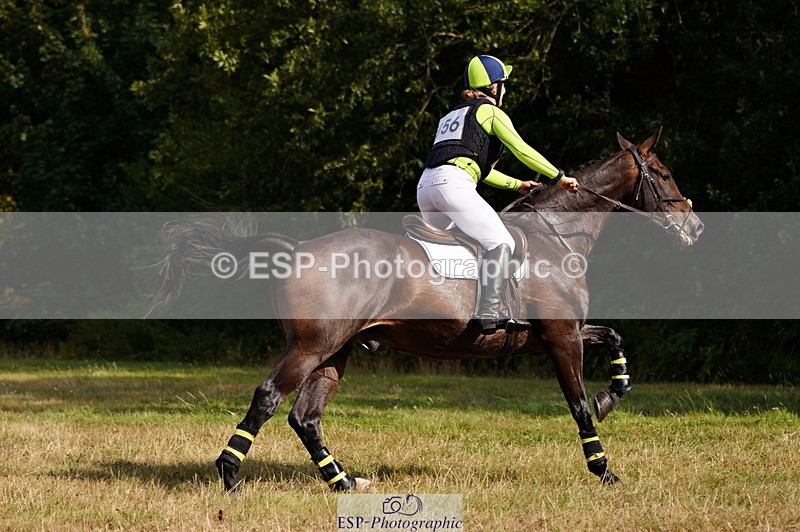 250803A-171638-18776 - S-856-Helena.Stock-ROYAL.UPDATE