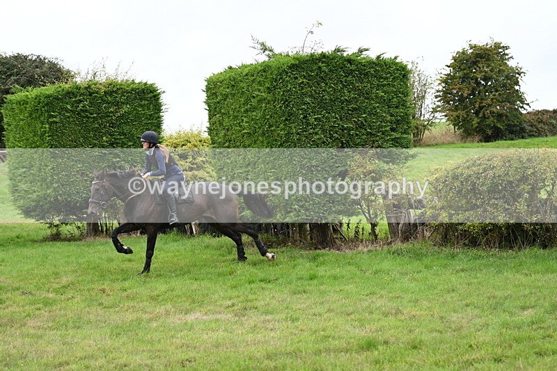 WJ7_9010 - Time 13:31 to 14:00