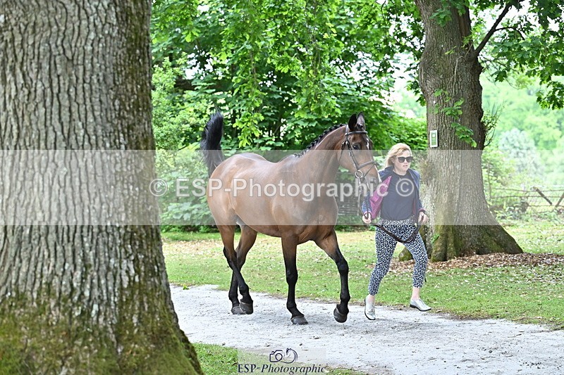 250521A-152837-00532 - B-368-Katey.Cuthbertson-PROSECCO