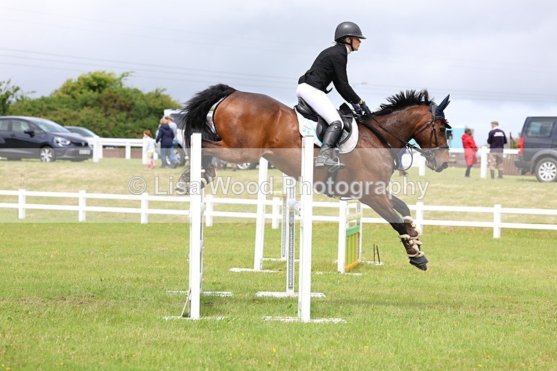 3E7A7094 - Class 12: Senior Foxhunter/1.20 open