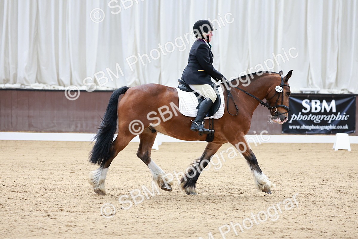 SBM_008081 - Class 6b - Novice 6 - 9.28-10.41