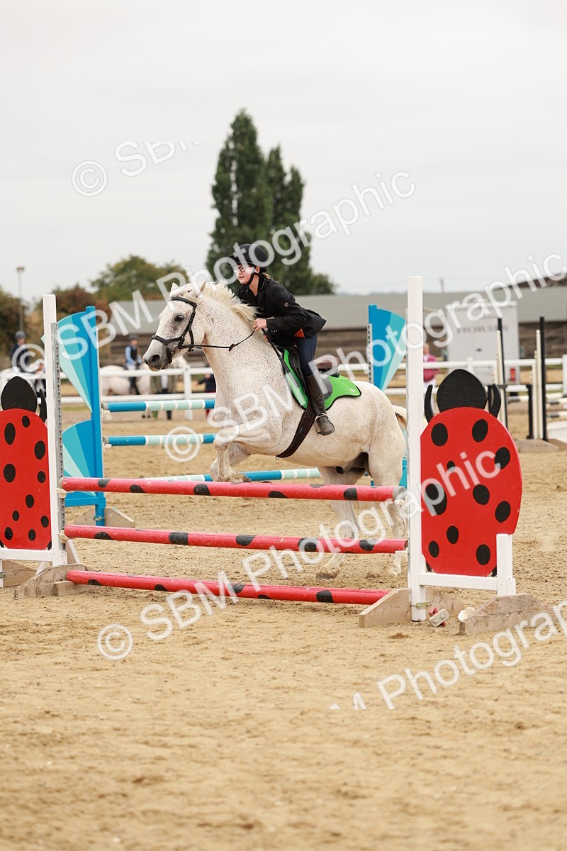 SBM_008609 - Class 5 - 80cm