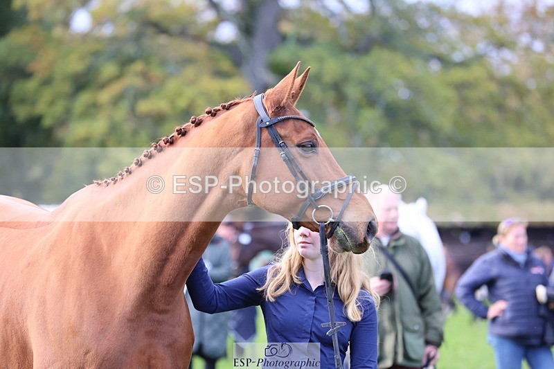 251026A-102202-22927 - E-396-Madeleine.Robertson