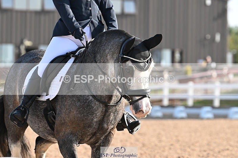 250816-091023-02851 - 055-Neve.HollowaySD.Out.of.the.Blue