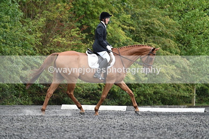 WJ7_6531 - Time 12:06 to 12:24