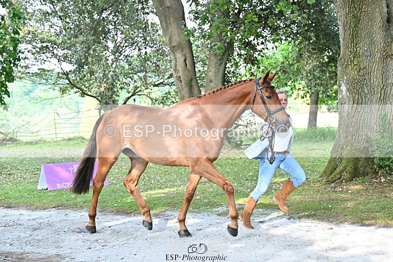 250521A-165914-01452 - C-276-Sammi.Birch-ROSAS.PARTY