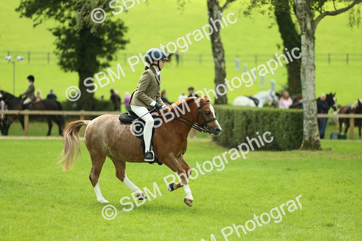 SBM_42730 - S30 - M&M Working hunter Pony