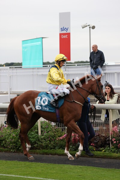 yr22072022r4-6 - Race 4 6.50pm The IRE Incentive It Pays To Buy Irish EBF Restricted Novice Stakes