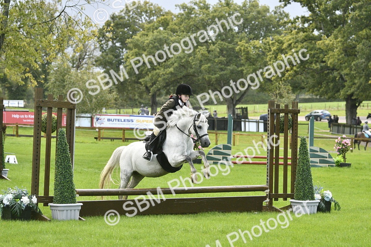 SBM_37162 - S31 - Novice & Newcomer Working Hunter Pony