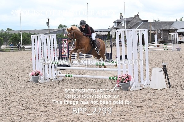 BPP_2799 - CLASS 5 STX-UK Pony BritiNovice / 0.80m Open