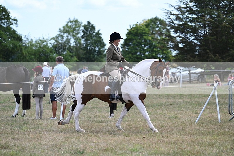 WJ7_5616 - Class 12 Ridden Cob