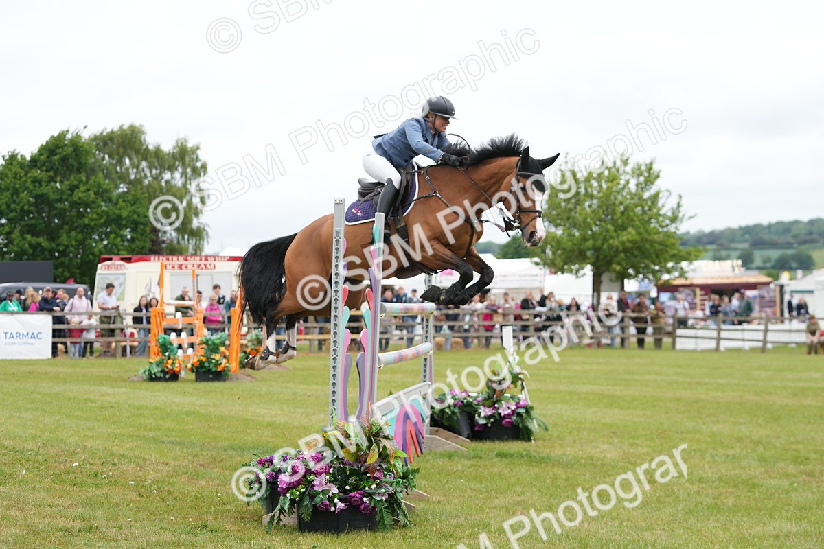 SBM_05137 - Class 201 - British Horse Feeds Speedi Beet Horse of the Year Show Grade  C