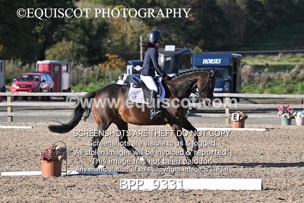 BPP_9331 - SHORT ARENA