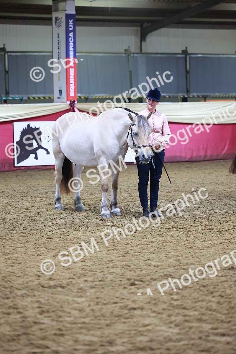SBM_14729 - Class J - Foreign Breeds Champ