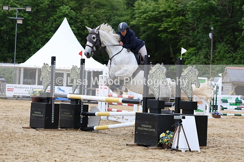 3E7A6069 - Class 4: Senior British Novice/90cm open