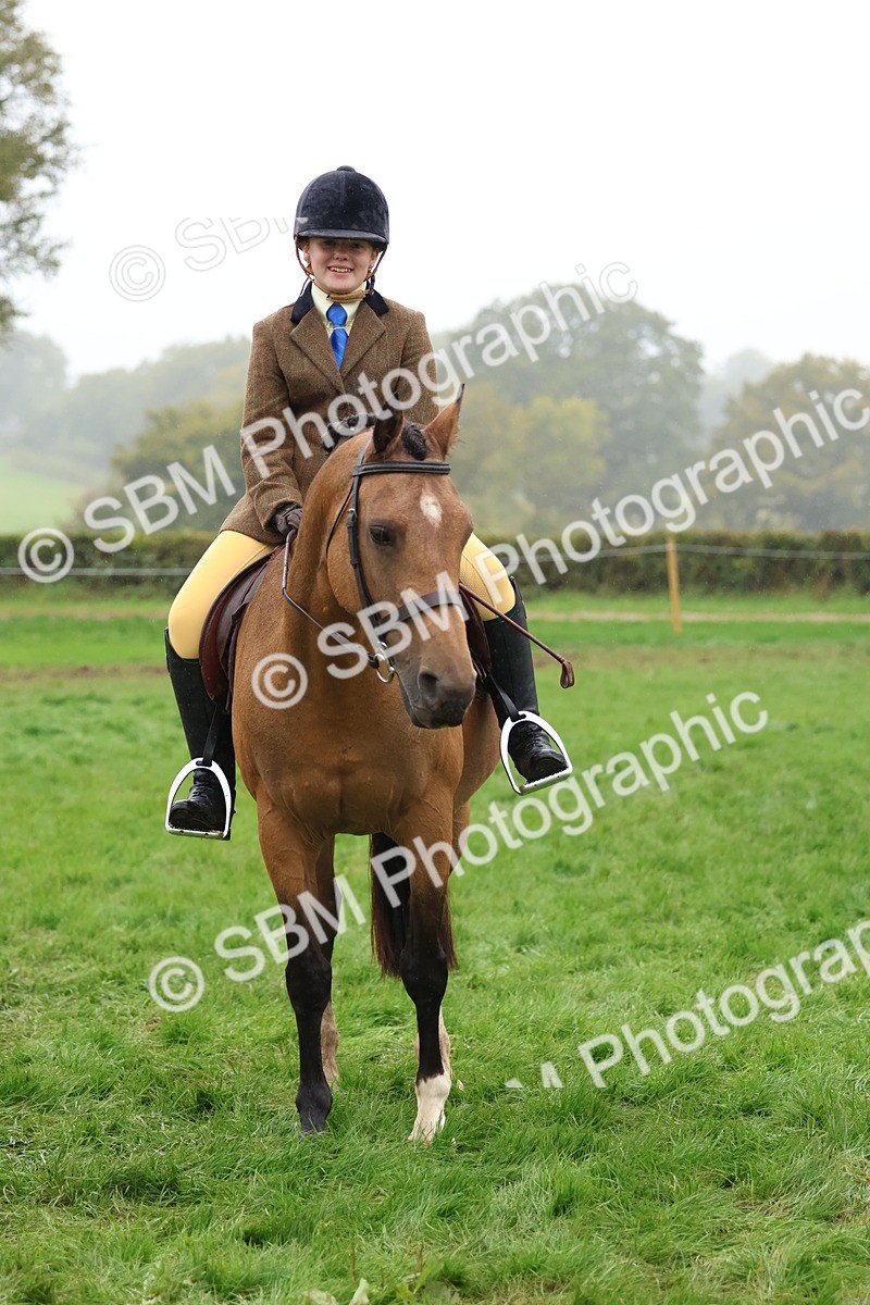 SBM_73043 - S63 Show Pony & Show Hunter Pony Ridden