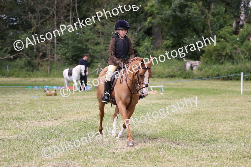 20260614-2896 - Class 22 - Open Working Hunter