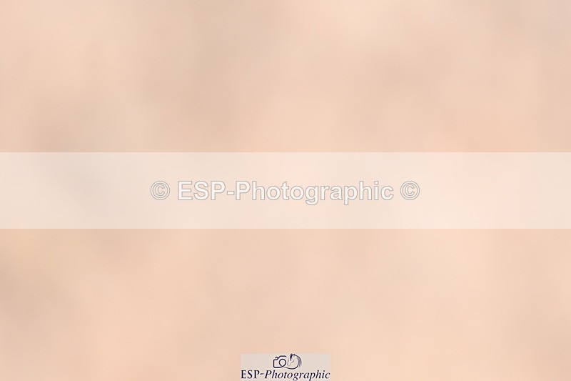 240622A-122855-10118 - Cls 34 BD Music Medium