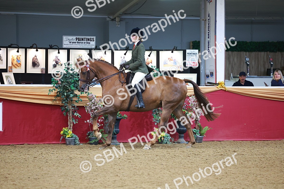 SBM_09776 - Class 102 - HOYS Veteran Qualifier - Ridden Veteran