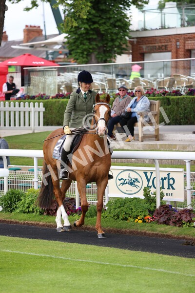 yr22052022r8e-109 - ROR - Parade Ring York