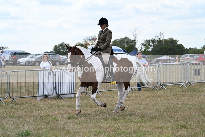 WJ7_5084 - Class 12 Ridden Cob
