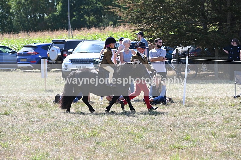 WJ6_8077 - Class 36 Lead Rein