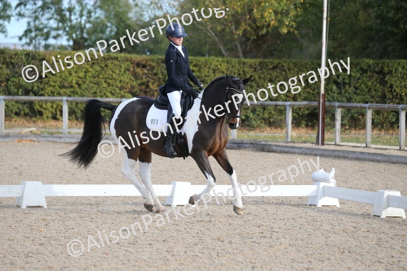 20261011-0154 - Class 3 - novice 4