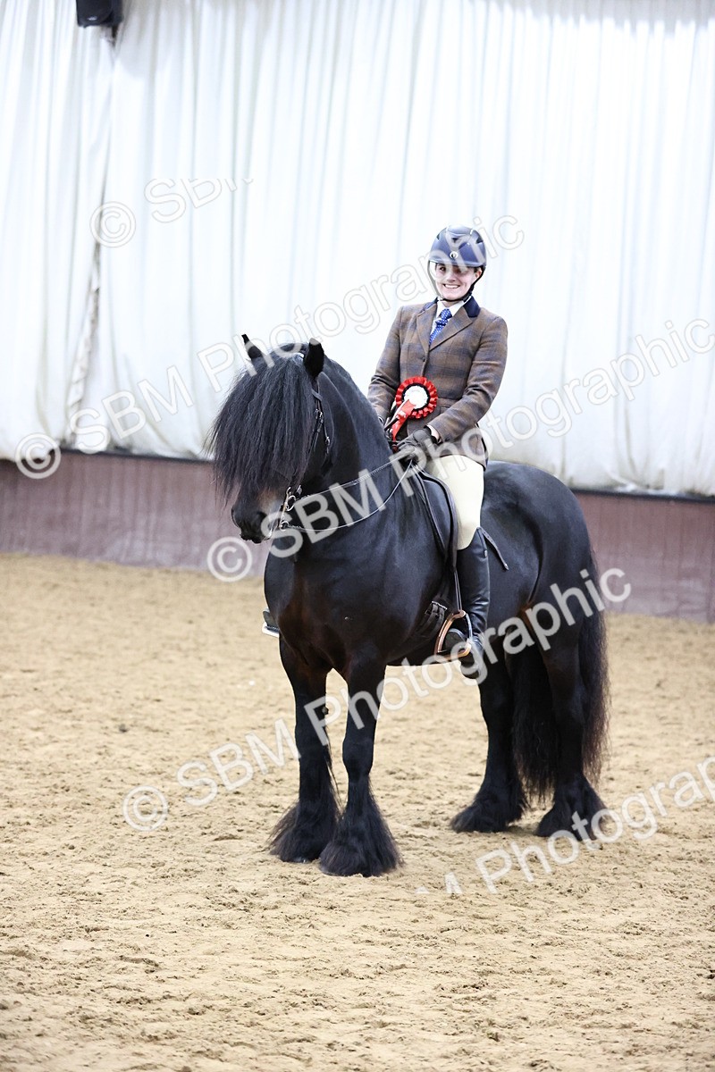 SBM_6558 - Class 43 - Ridden Native Breeds