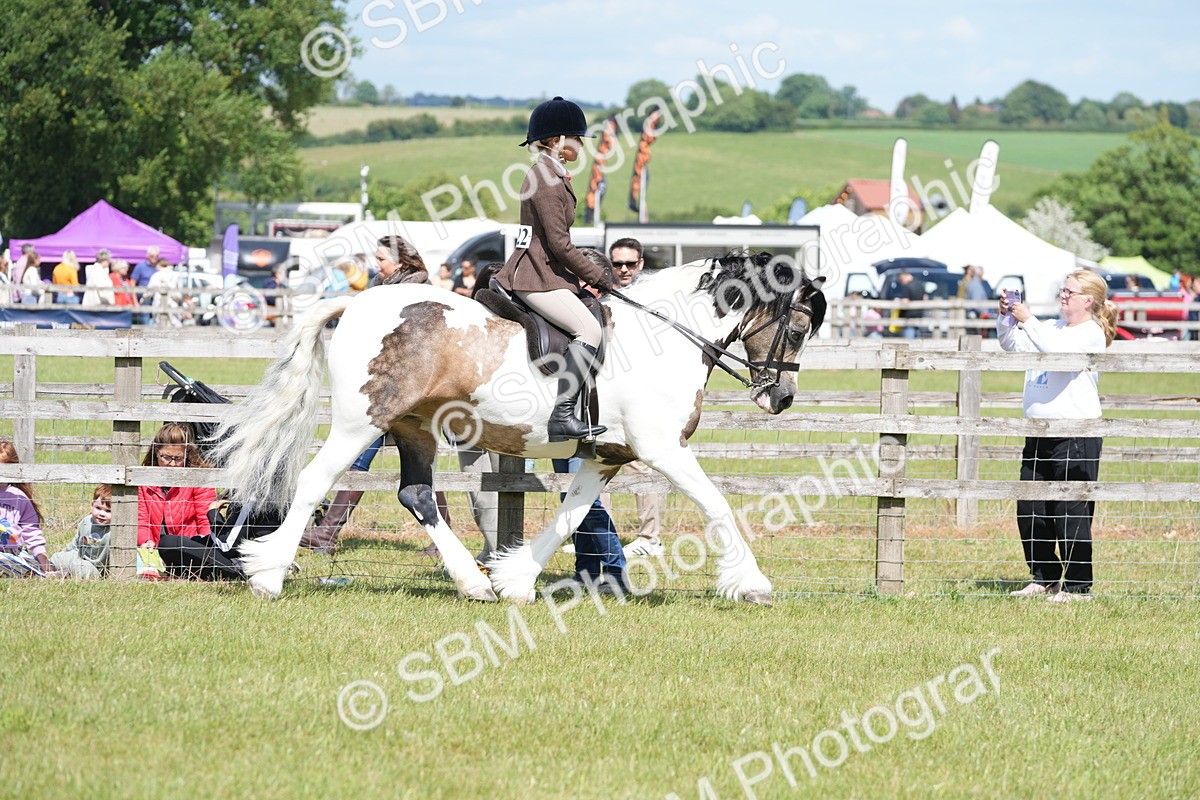 SBM_17112 - Class 107-108 - LIHS BSPS Performance Coloured Horse Pony