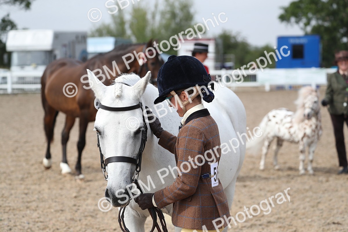 SBM_23165 - Class 605 - 2025 Area - IH Veteran