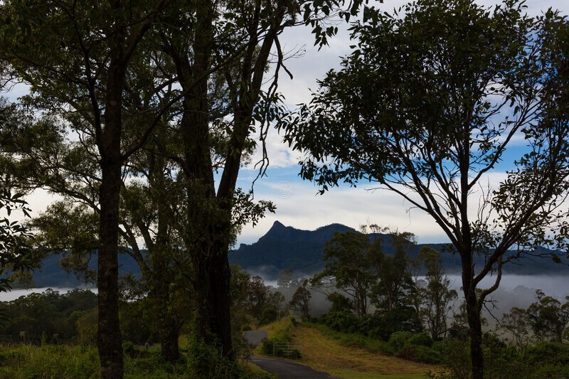 Mt Warning from old Tyalgum tip site park 2 - Mt Warning