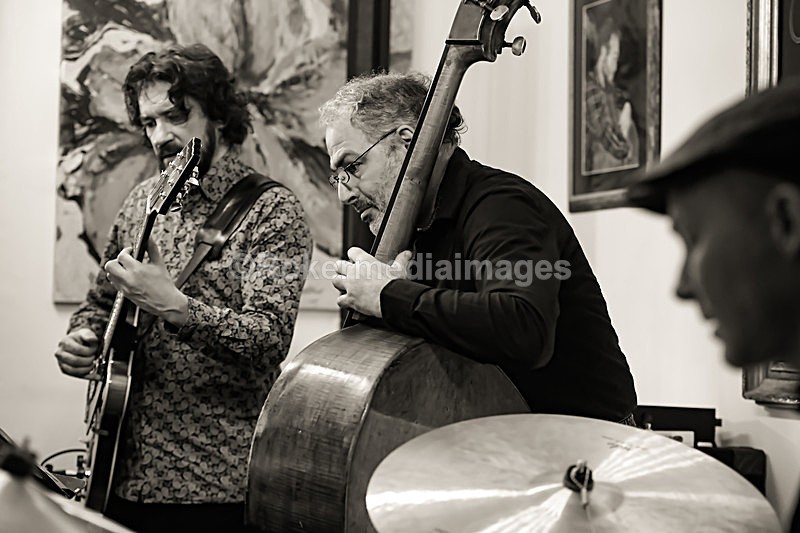 _56A6281 - Art Themen and friends at The Royal Oak Swindon