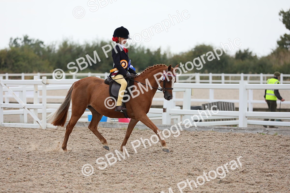SBM_18266 - Class 316 Best Pony/Rider Combination