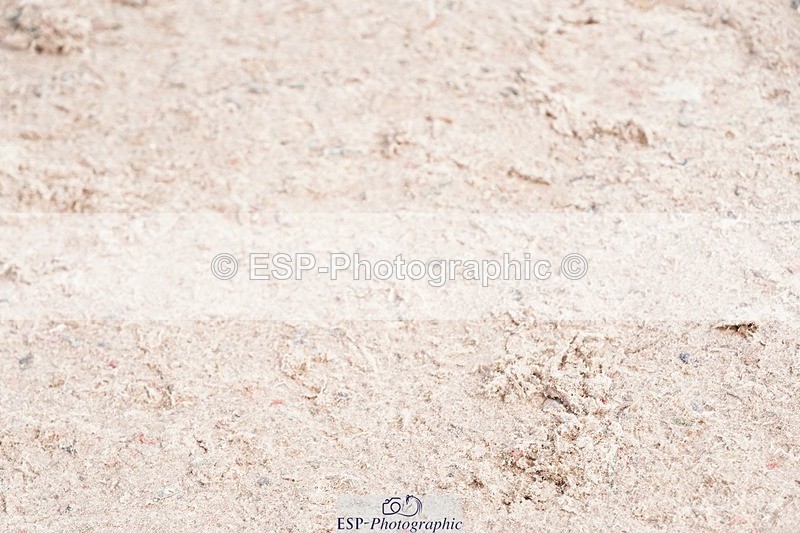 250426-103328-11897 - Cls 27 Young Horse 5yr old