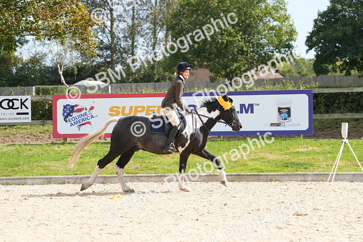 SBM_38935 - J21 - Junior Horse 60cm Championship