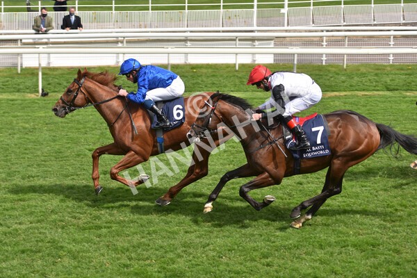 yr13052021r4-39 - Race 4 3.10pm Al Basti Equiworld Dubai Dante Stakes