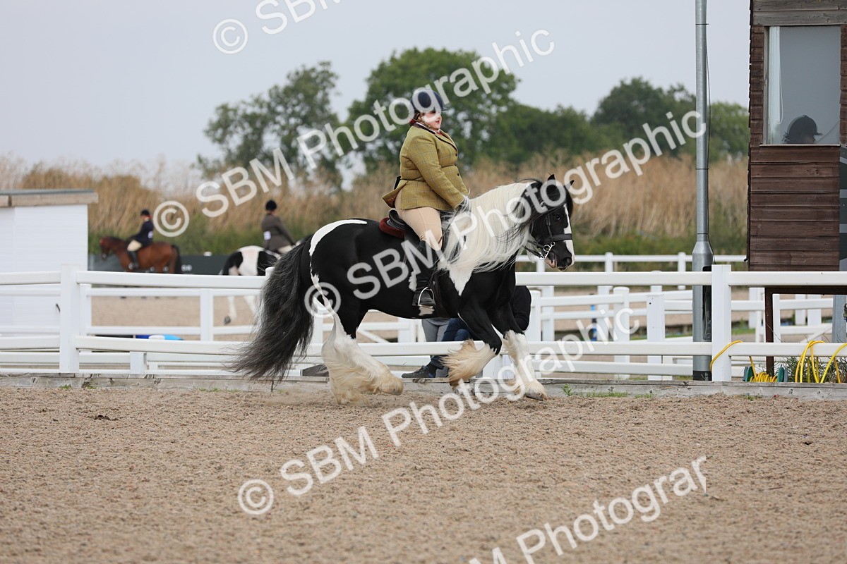 SBM_12760 - Class 307 Ridden Coloured Pony