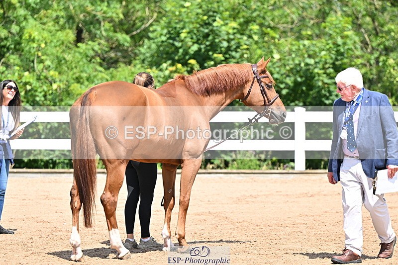 240718A-105244-01090 - Trot Up 12pm to 1pm