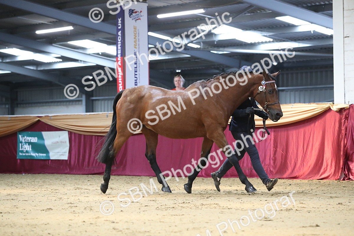 SBM_04351 - Class 7R Regional - IH Diamond