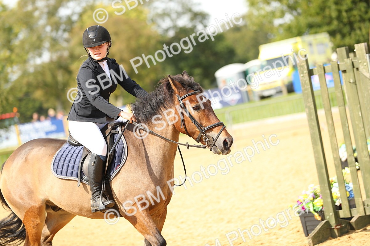 SBM_66201 - J17 - Junior Pony 80cm Championship