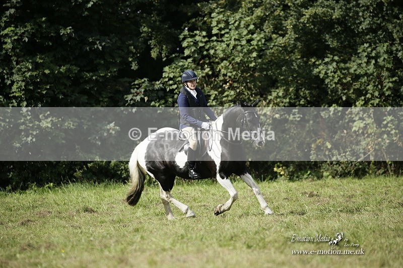 BVRC 120921 314 - Bourne Valley Riding Club UA Dressage & Show Jumping 12/09/21