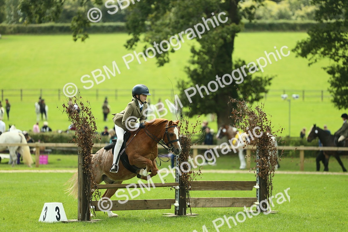 SBM_42728 - S30 - M&M Working hunter Pony