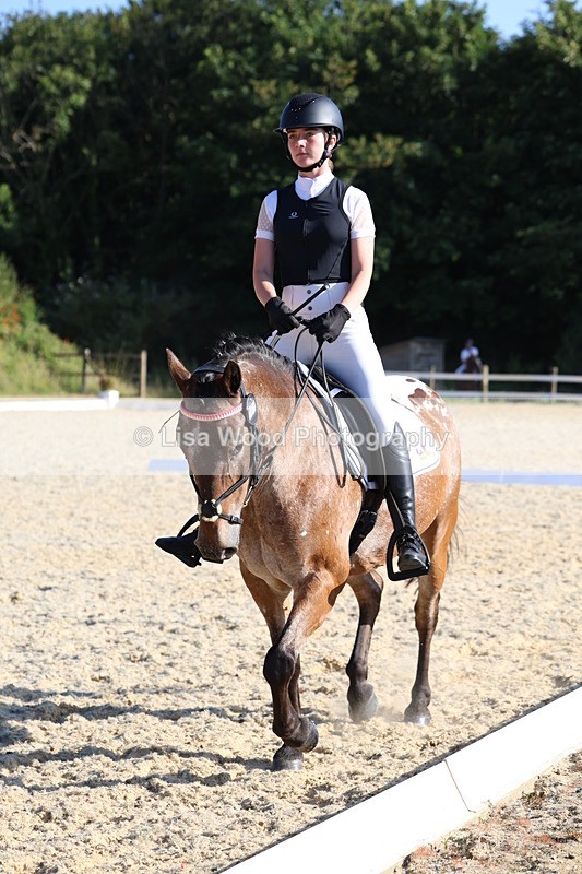 3E7A3624 - Class 2: Intro 1 2024 Section B