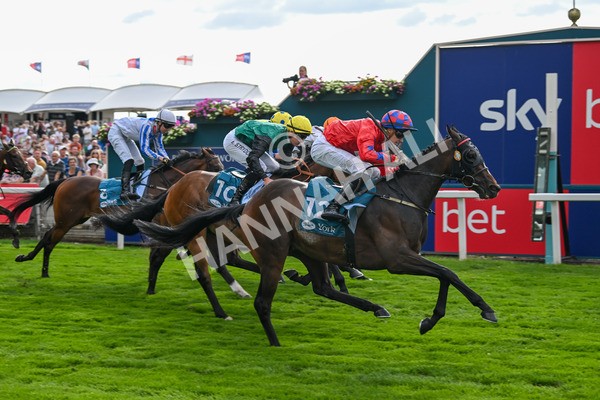 260725-Race 7-Chesneys Charm-7966 - Race 7 5.00pm Sky Bet Extra Places Every Day Handicap