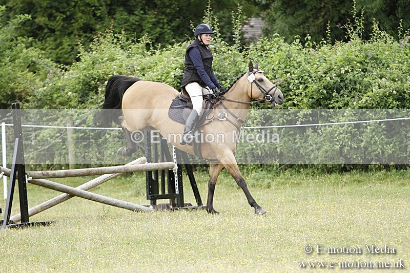 BVR160717-890 - Ring 3 BVRC Show 16/07/17