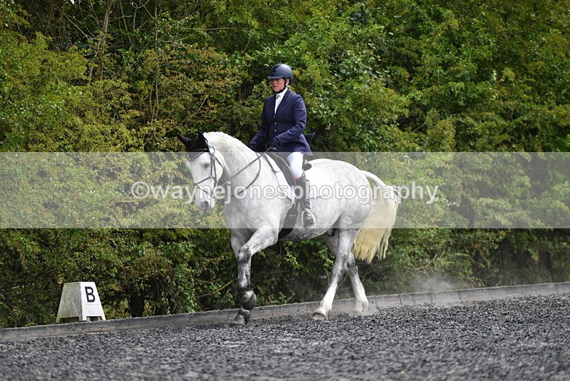 WJ5_2009 - Time 15:05 to 15:30