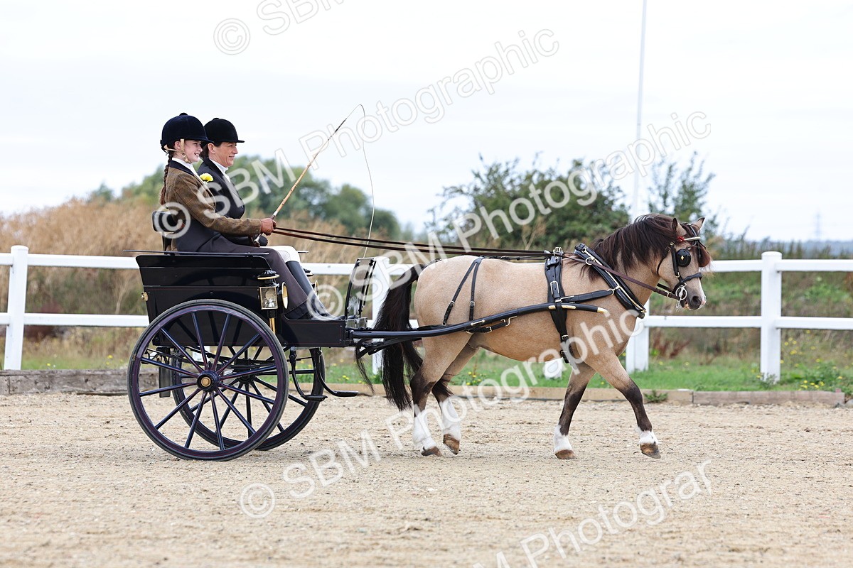 SBM_000368 - Class 4 - Junior Whip
