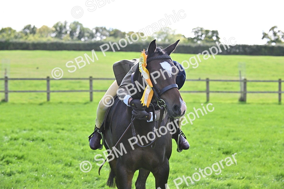SBM_44605 - S13 - Pony Club Pony