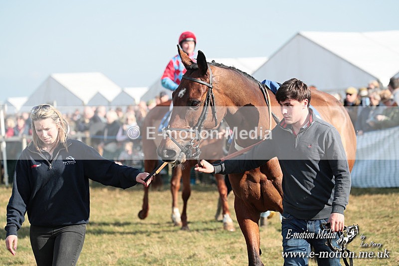 PtP 010325 273 - Beaufort Races Didmarton 01/03/25